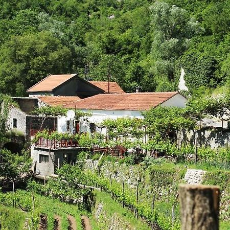 Country House Dajkovic Dupilo Luaran gambar