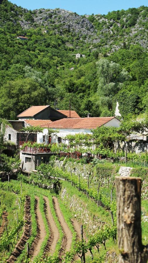 Country House Dajkovic Dupilo Luaran gambar